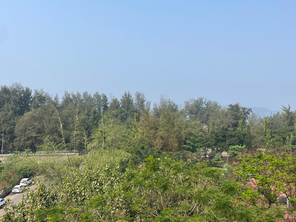 WhatsApp Image 2025-11-28 at 11.08.34 AM (9)