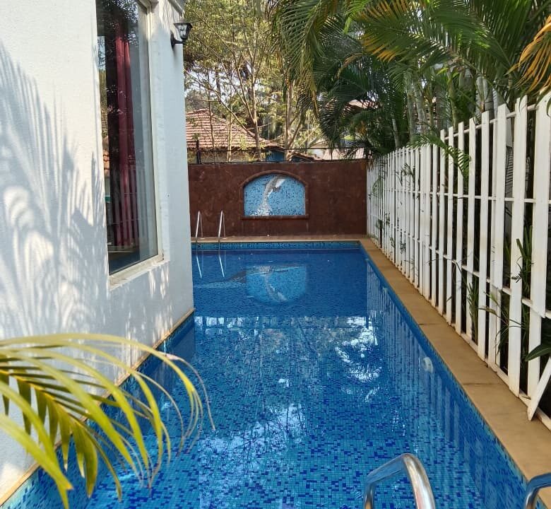 WhatsApp Image 2026-01-19 at 10.02.54 AM