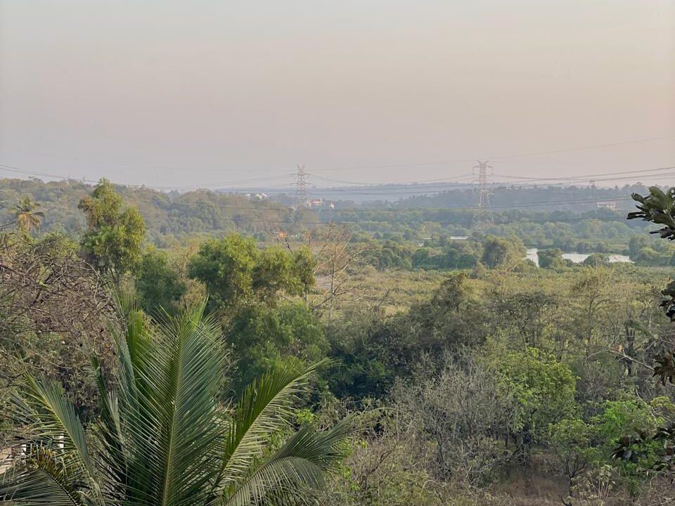 WhatsApp Image 2025-03-27 at 16.06.01_ed2ce290