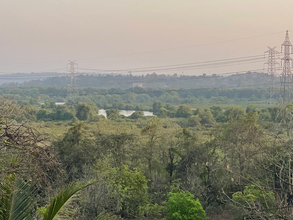 WhatsApp Image 2025-03-27 at 16.06.01_f73a9a70