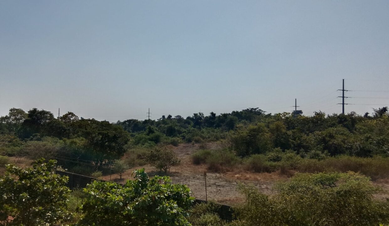 WhatsApp Image 2025-12-11 at 3.41.56 PM (1)