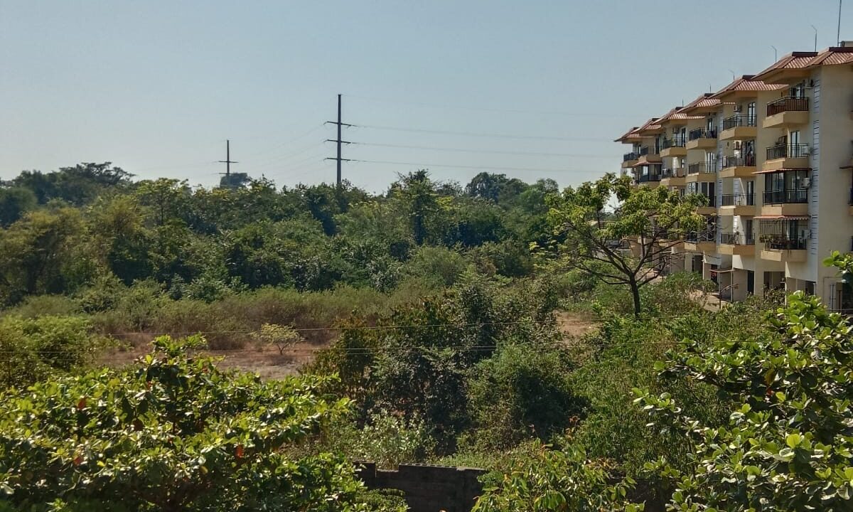 WhatsApp Image 2025-12-11 at 3.41.59 PM