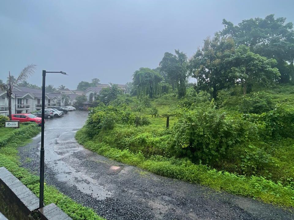 WhatsApp Image 2025-07-26 at 17.10.50_a0801121