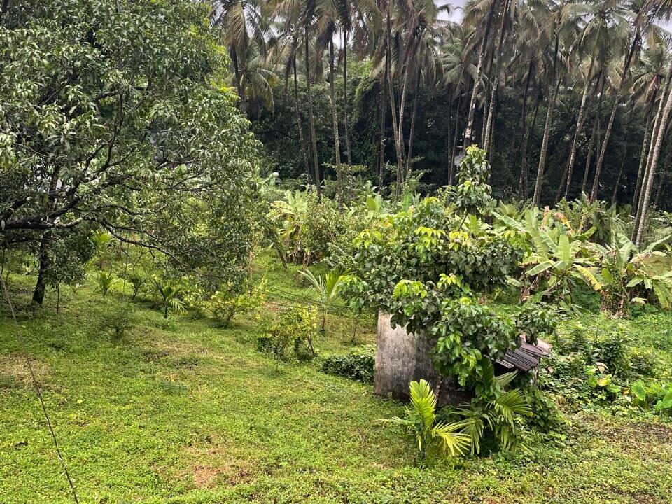 WhatsApp Image 2025-07-26 at 17.10.51_175d8d43