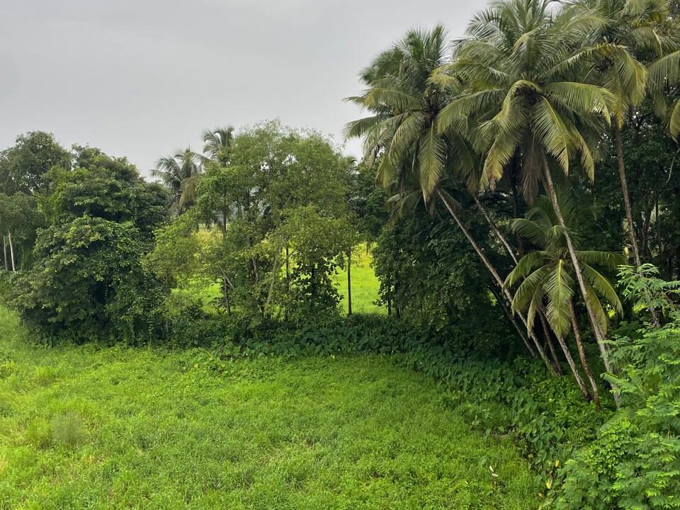 WhatsApp Image 2025-08-19 at 00.06.57_36e1c4c7