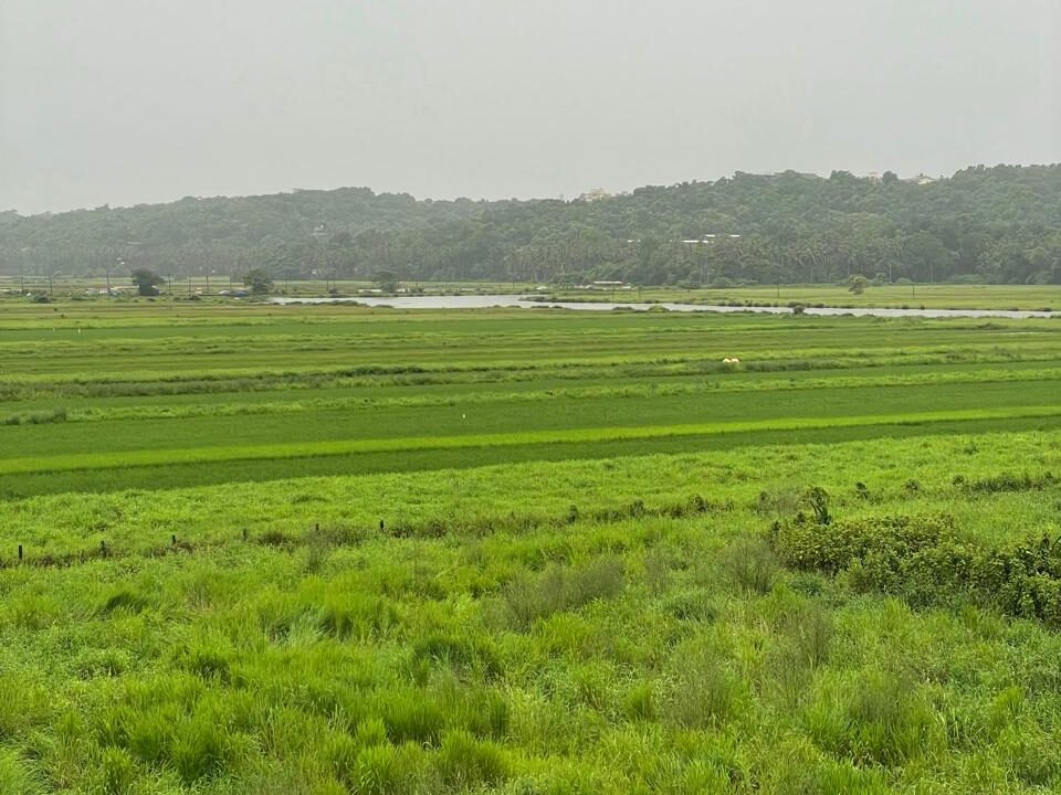 WhatsApp Image 2025-08-19 at 00.06.58_4e4f805a