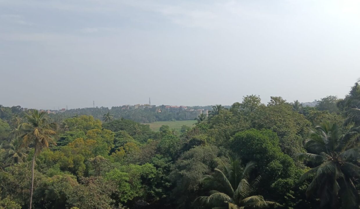 WhatsApp Image 2025-12-05 at 3.27.37 PM